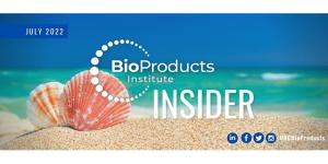 Shells on a beach BPI Insider