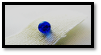 Fig21