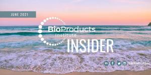 beach and orange sunset BioProducts Insider