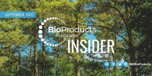 forest scene BioProducts Insider
