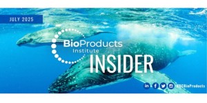 swimming whales BioProducts Insider