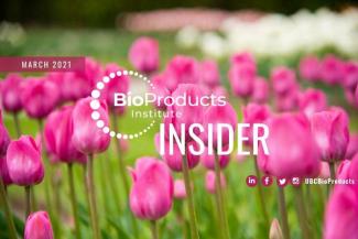 newsletter with pink tulips