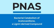 PNAS article title
