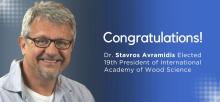 Dr.Stavros Avramidis