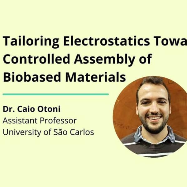 Tailoring Electrostatics Towards Controlled Assembly of Biobased Materials